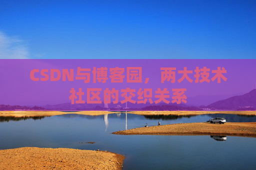 CSDN与博客园，两大技术社区的交织关系